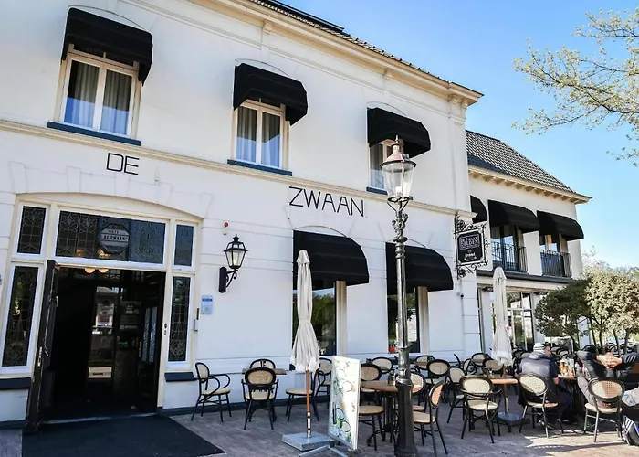 Zwaan