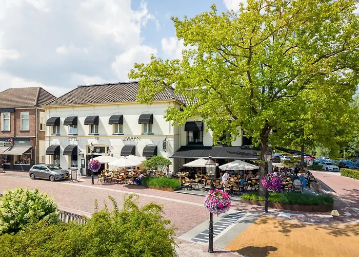 Zwaan
